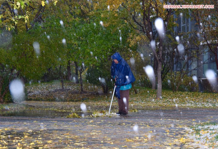 CHINA-BEIJING-SNOWFALL (CN)