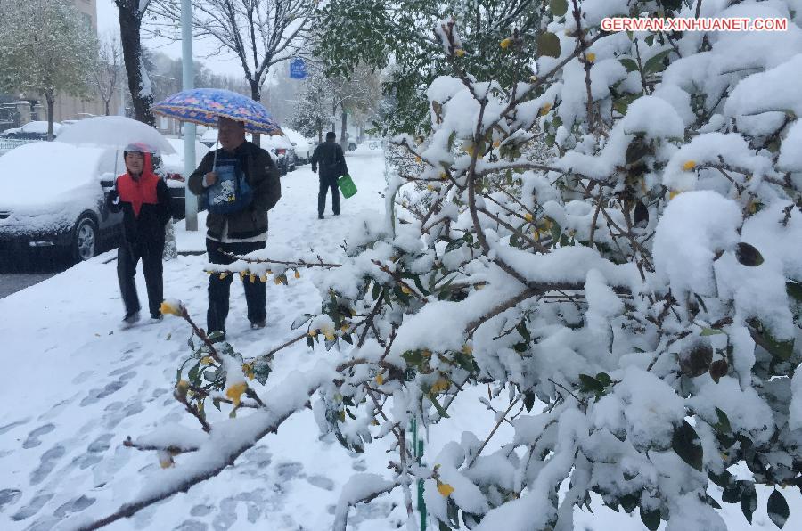 CHINA-BEIJING-SNOWFALL (CN)