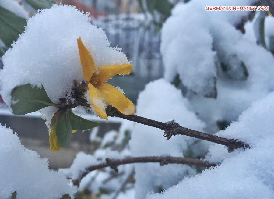 CHINA-BEIJING-SNOWFALL (CN)