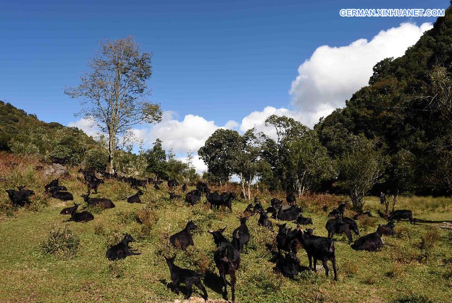 CHINA-YUNNAN-WENSHAN-LAOJUN MOUNTAIN