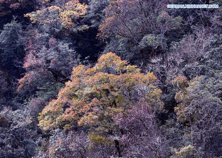 CHINA-YUNNAN-WENSHAN-LAOJUN MOUNTAIN