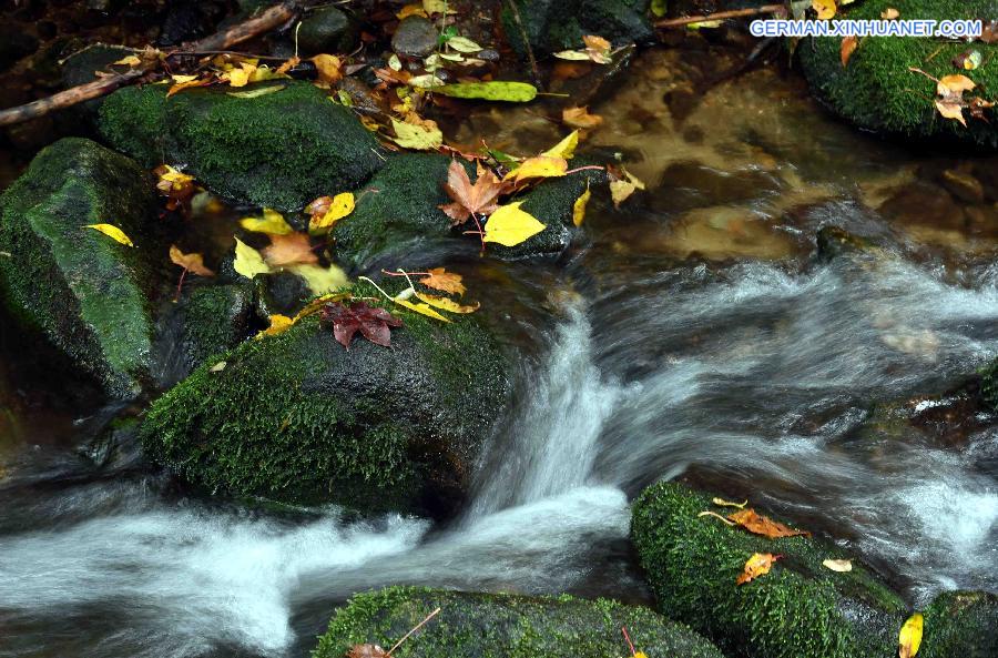 CHINA-YUNNAN-WENSHAN-LAOJUN MOUNTAIN