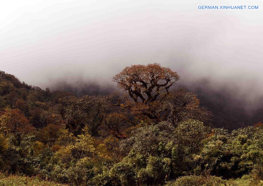 CHINA-YUNNAN-WENSHAN-LAOJUN MOUNTAIN