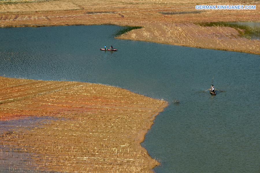 #CHINA-GUANGXI-FISHING (CN)