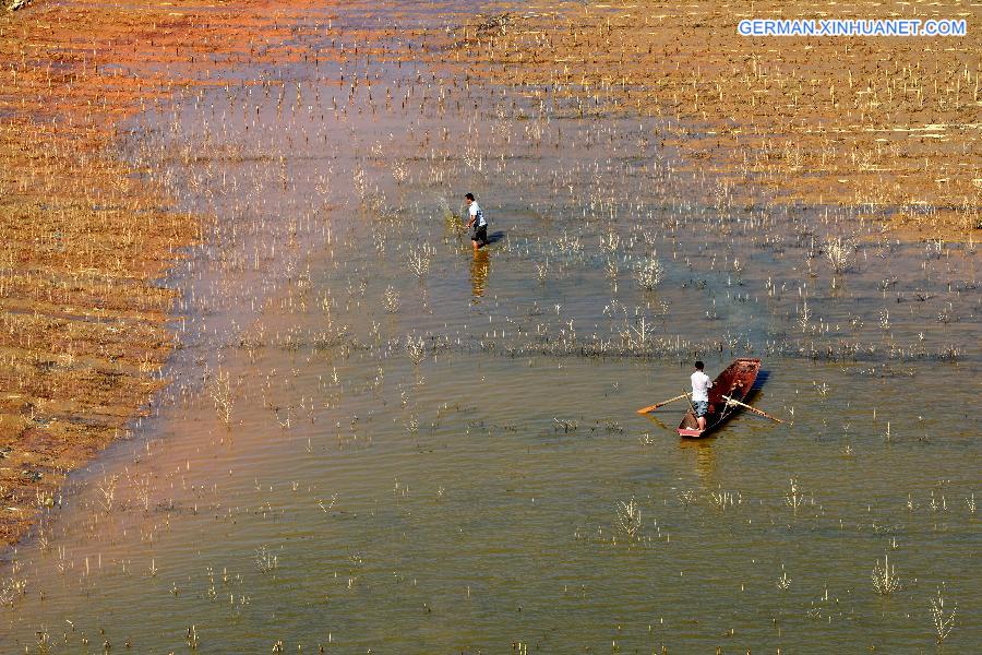 #CHINA-GUANGXI-FISHING (CN)