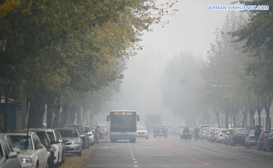 CHINA-SHENYANG-SMOG (CN)