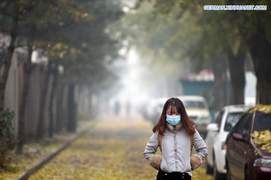 CHINA-SHENYANG-SMOG (CN)