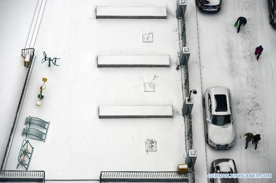 CHINA-HEILONGJIANG-HARBIN-SNOW(CN)