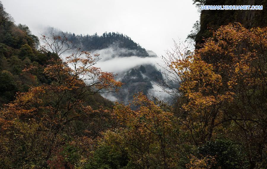 CHINA-SICHUAN-BAOXING-SCENERY (CN)