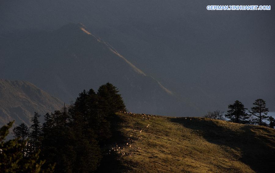 CHINA-SICHUAN-BAOXING-SCENERY (CN)