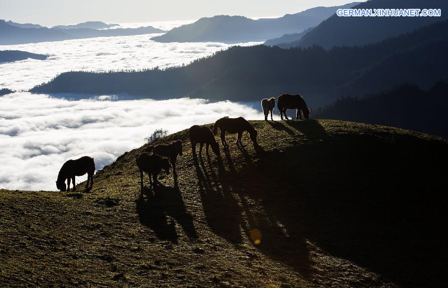 CHINA-SICHUAN-BAOXING-SCENERY (CN)