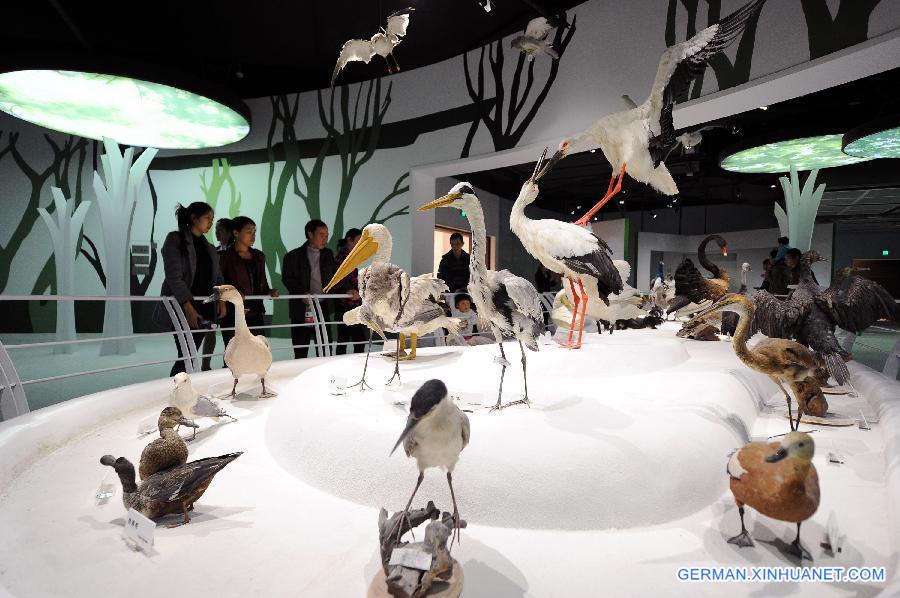 CHINA-CHONGQING-MUSEUM-NATURE (CN)