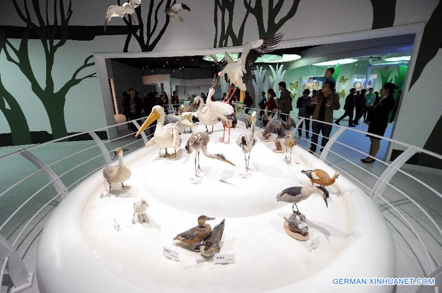 CHINA-CHONGQING-MUSEUM-NATURE (CN)