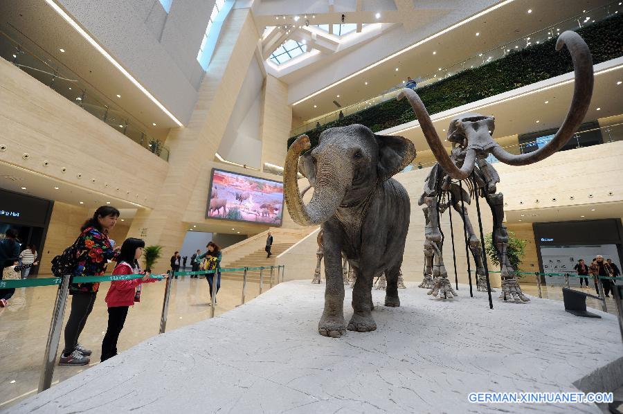 CHINA-CHONGQING-MUSEUM-NATURE (CN)