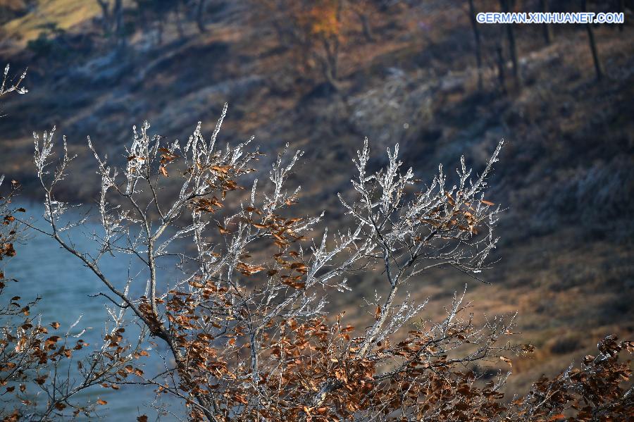 CHINA-LIAONING-WINTER (CN)