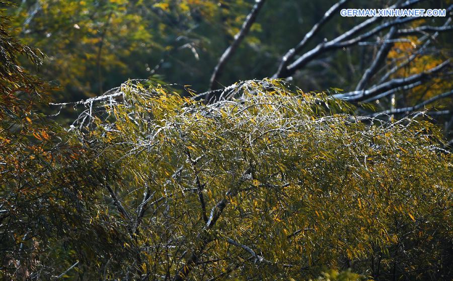 CHINA-LIAONING-WINTER (CN)