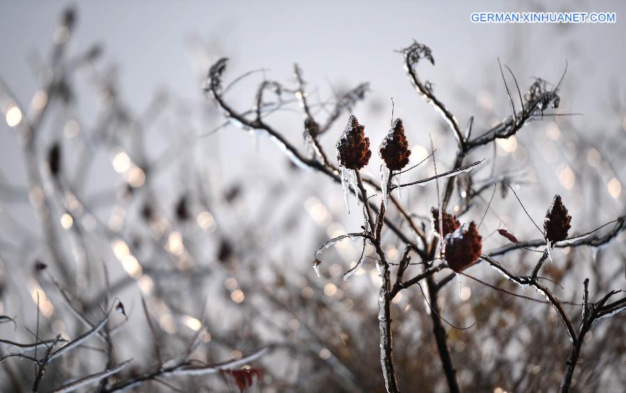 CHINA-LIAONING-WINTER (CN)