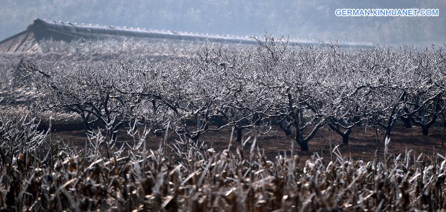 CHINA-LIAONING-WINTER (CN)