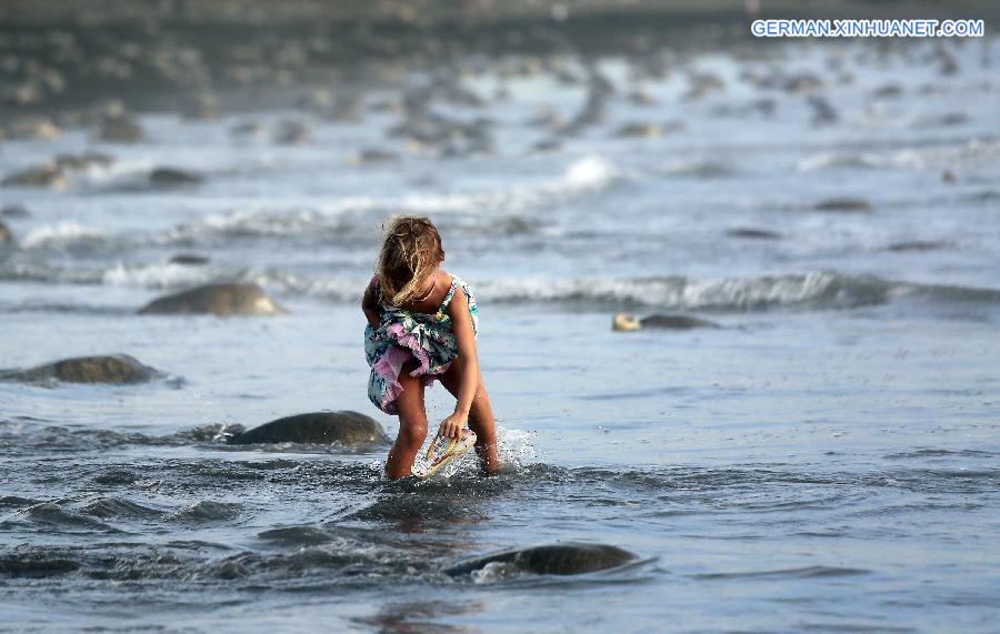 COSTA RICA-OSTIONAL BEACH-ENVIRONMENT-TURTLES-EGGS