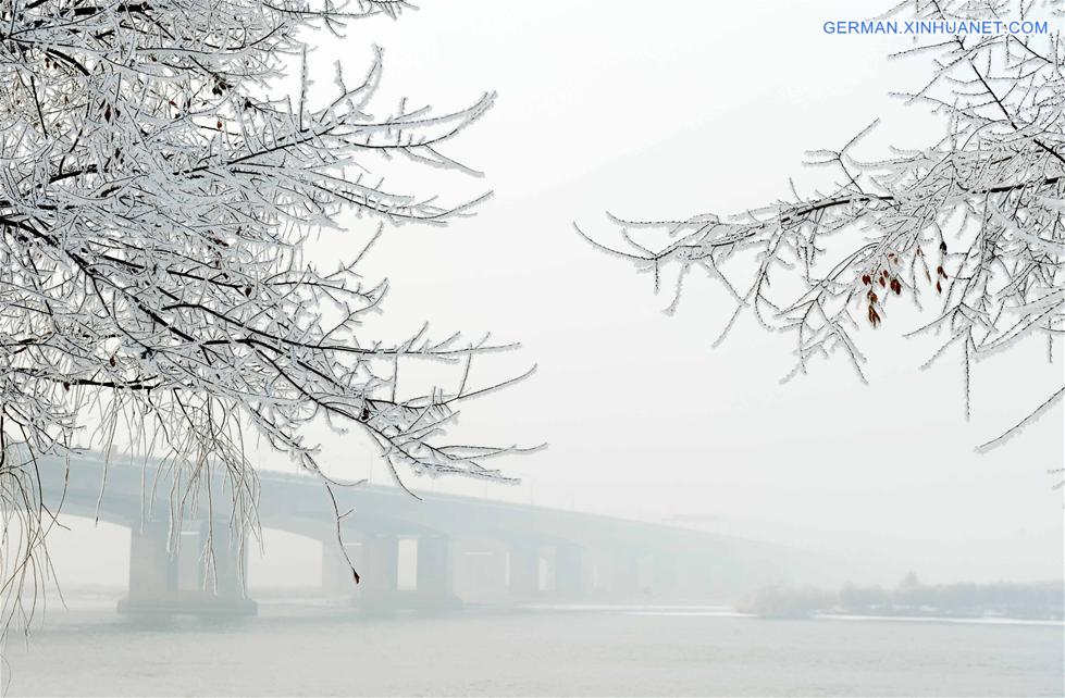 CHINA-HEILONGJIANG-HARBIN-FOG (CN)