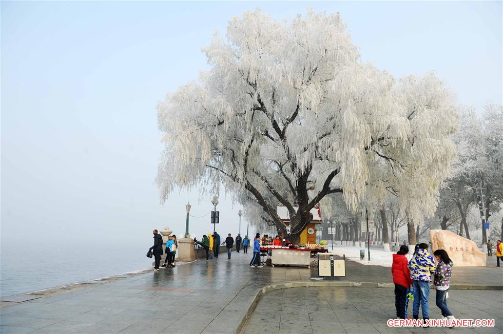 CHINA-HEILONGJIANG-RIME (CN)