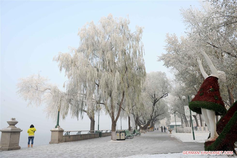 CHINA-HEILONGJIANG-RIME (CN)