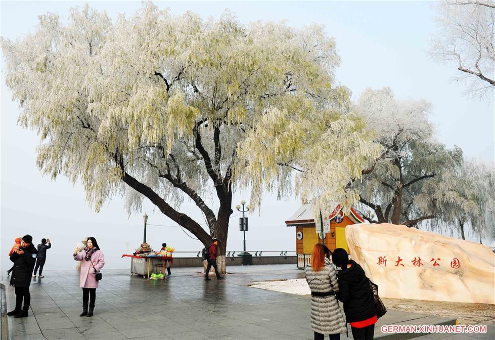 CHINA-HEILONGJIANG-RIME (CN)