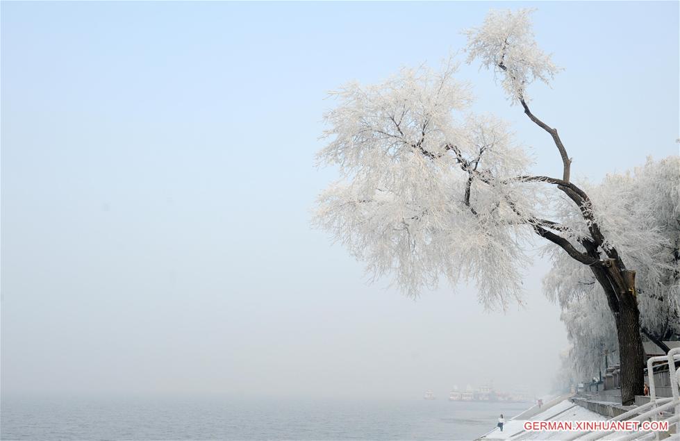 CHINA-HEILONGJIANG-RIME (CN)