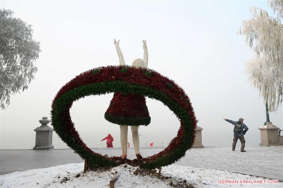 CHINA-HEILONGJIANG-RIME (CN)