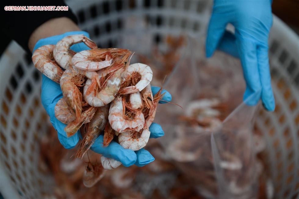 CHINA-ZHOUSHAN-FISHERWOMEN-E-COMMERCE(CN)