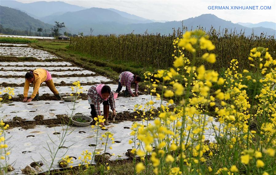 CHINA-YUNNAN-MINORITIES-CONDITION IMPROVEMENT(CN)