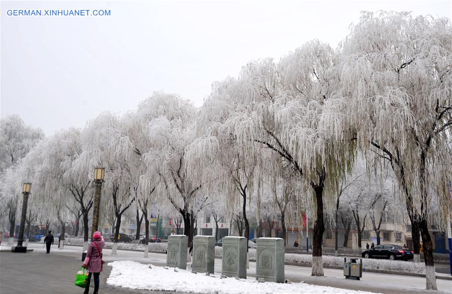 #CHINA-HEILONGJIANG-RIME SCENERY (CN)