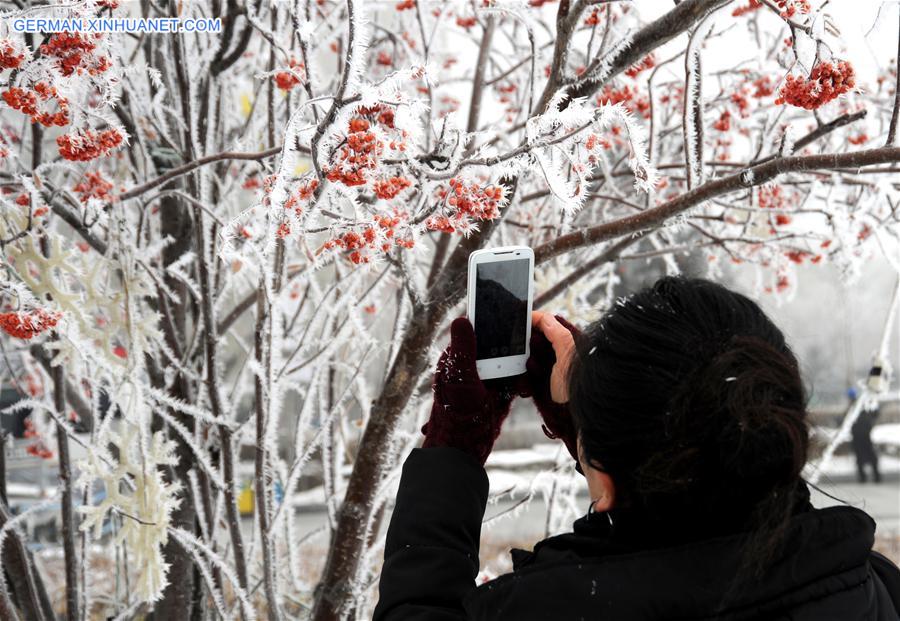 #CHINA-HEILONGJIANG-RIME SCENERY (CN)