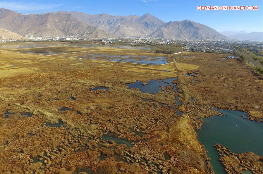 CHINA-TIBET-LHASA-WETLAND-SCENERY (CN) 