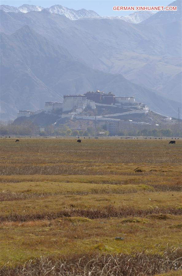 CHINA-TIBET-LHASA-WETLAND-SCENERY (CN) 