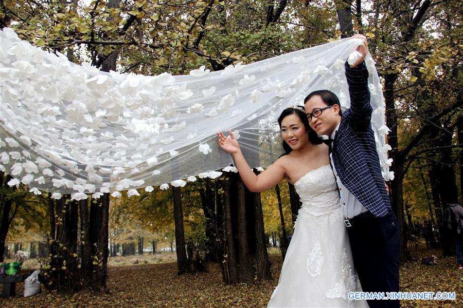 #CHINA-SHANDONG-GINKGO LEAVES (CN)