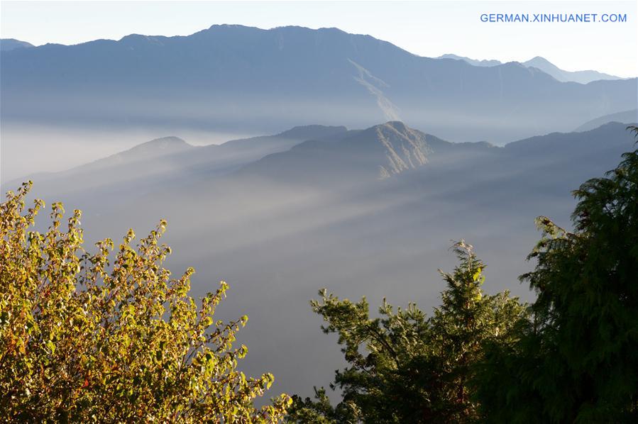 CHINA-TAIWAN-ALI MOUNTAIN-SCENERY (CN)