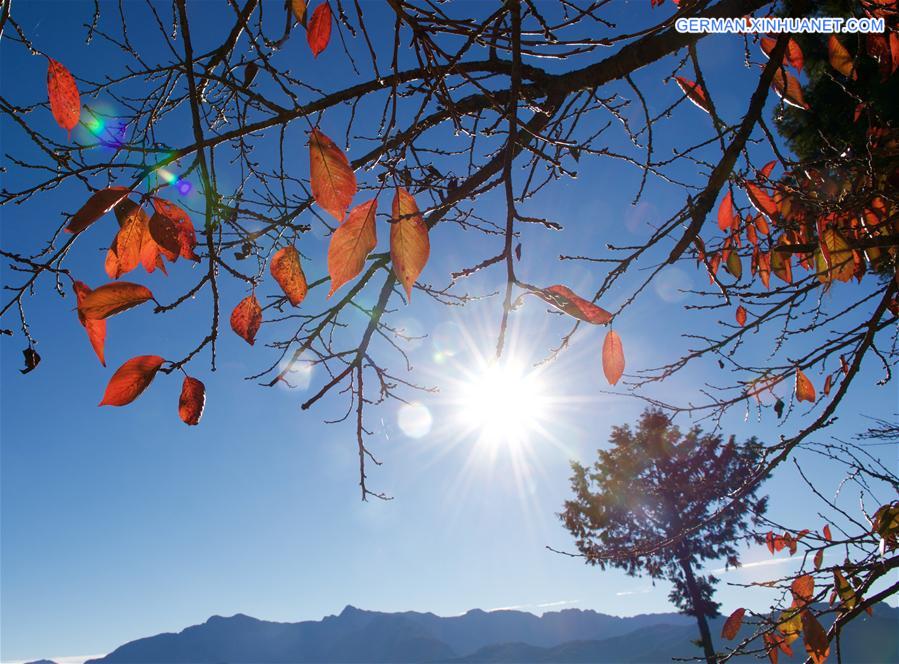 CHINA-TAIWAN-ALI MOUNTAIN-SCENERY (CN)