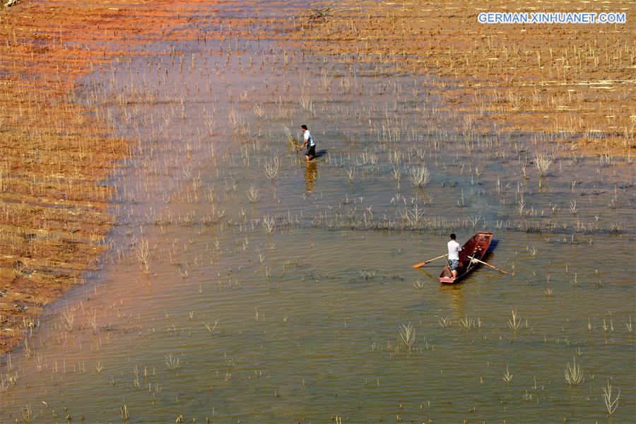 WEEKLY CHOICES OF XINHUA PHOTO