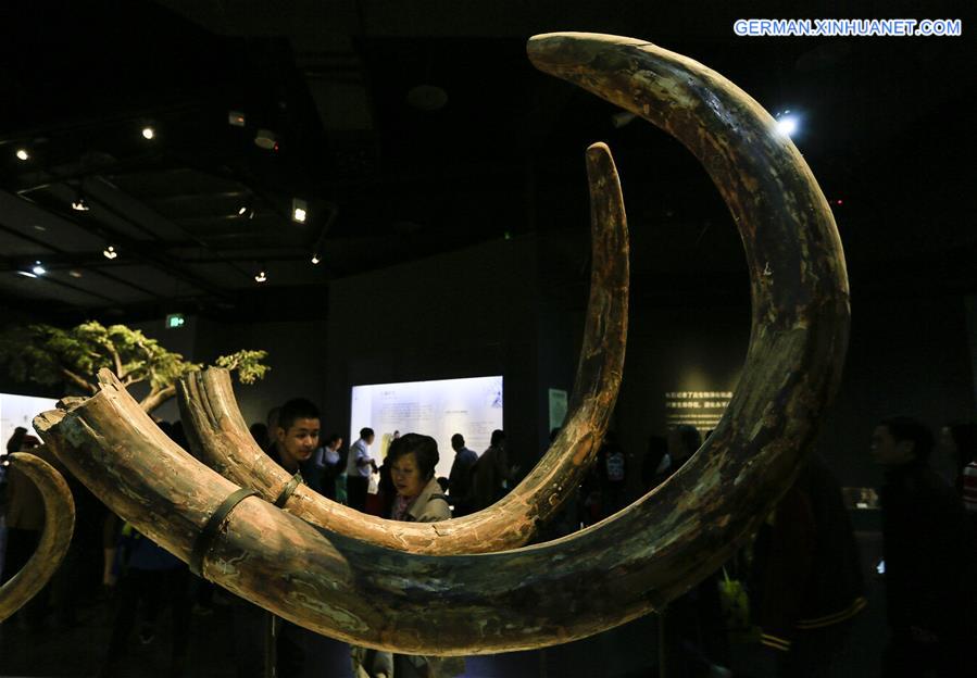 #CHINA-CHONGQING-MUSEUM OF NATURAL HISTORY-REOPENING(CN)