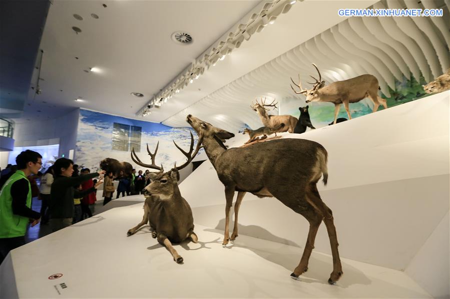 #CHINA-CHONGQING-MUSEUM OF NATURAL HISTORY-REOPENING(CN)