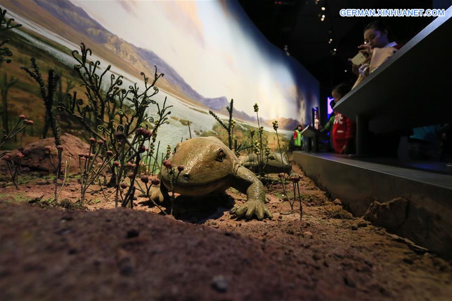 #CHINA-CHONGQING-MUSEUM OF NATURAL HISTORY-REOPENING(CN)