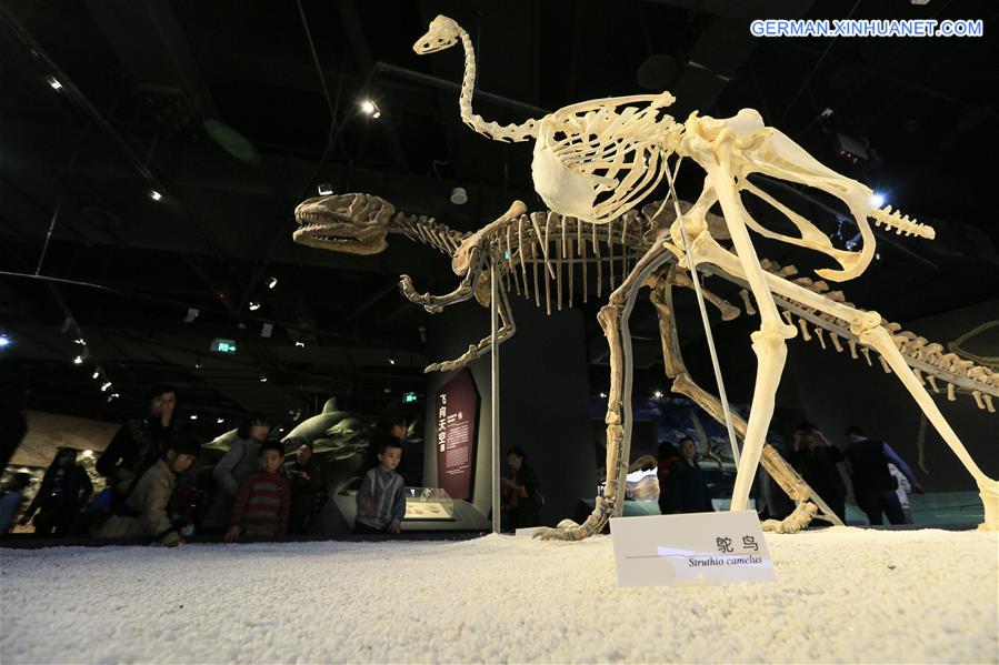 #CHINA-CHONGQING-MUSEUM OF NATURAL HISTORY-REOPENING(CN)