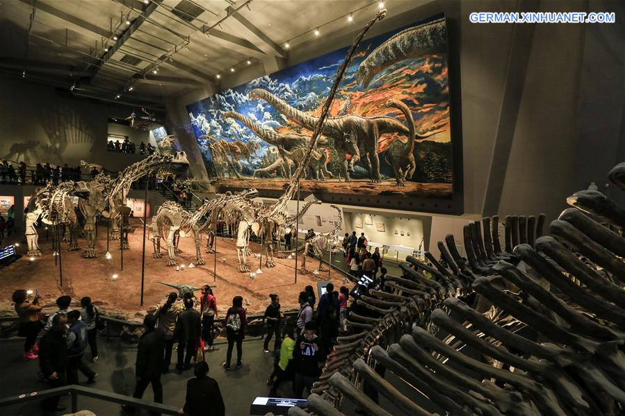 #CHINA-CHONGQING-MUSEUM OF NATURAL HISTORY-REOPENING(CN)