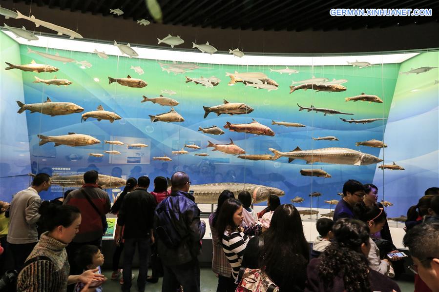 #CHINA-CHONGQING-MUSEUM OF NATURAL HISTORY-REOPENING(CN)