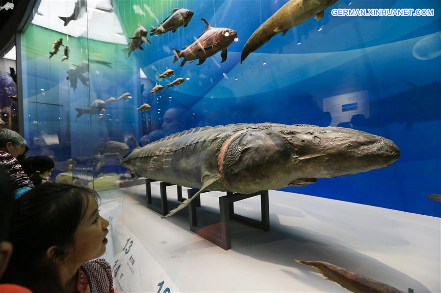 #CHINA-CHONGQING-MUSEUM OF NATURAL HISTORY-REOPENING(CN)