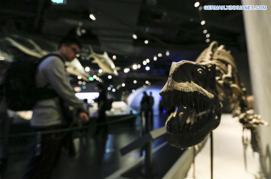 #CHINA-CHONGQING-MUSEUM OF NATURAL HISTORY-REOPENING(CN)