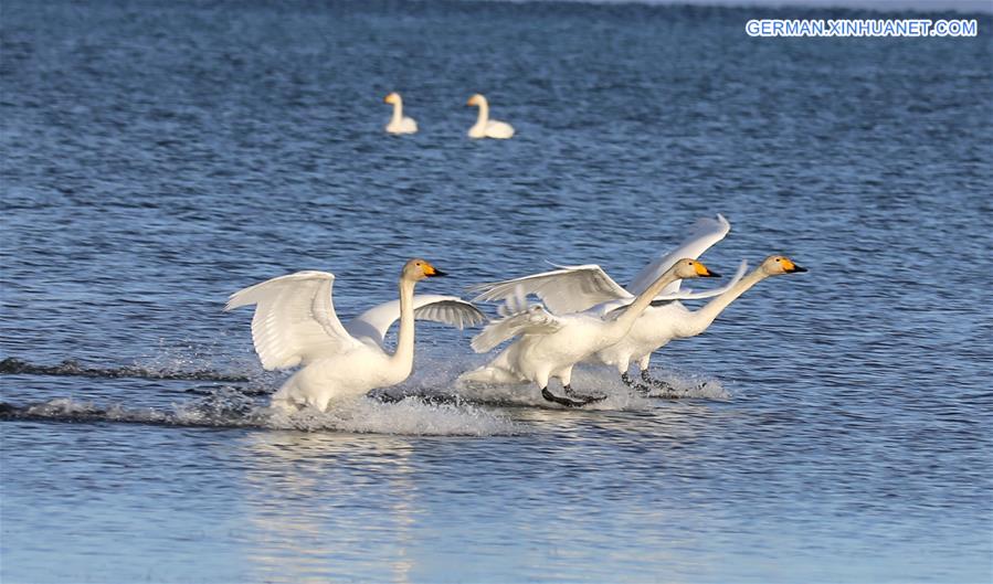 #CHINA-XINJIANG-SAYRAM LAKE-SCENERY(CN)