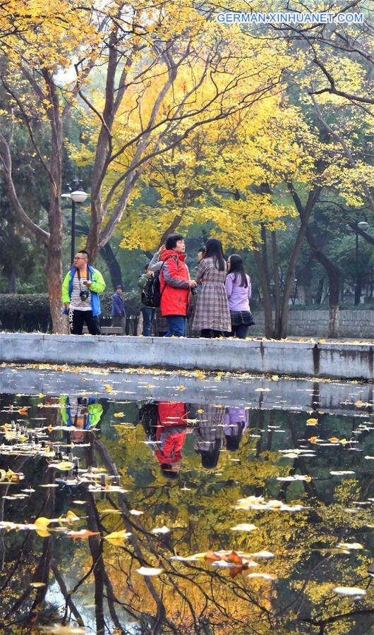 CHINA-JINAN-MAPLE-SCENERY (CN)