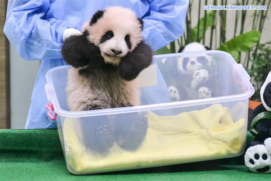 MALAYSIA-KUALA LUMPUR-CHINA-PANDA